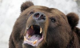 The Rise Of The Data Driven Market In Russia, And The Key Players To Look Out For In 2013