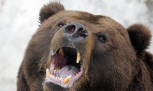 The Rise Of The Data Driven Market In Russia, And The Key Players To Look Out For In 2013