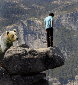 As Consolidation of Spend Comes at Agency Level — How Do You Play in the 'Programmatic' World?