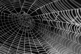 APAC Publishers Dragged Down by SSP Codes