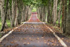 The Role of Data, Real-time Optimisation & Measurement in your Content Marketing Strategy