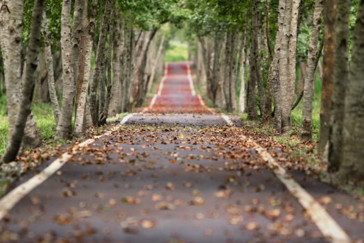 The Role of Data, Real-time Optimisation & Measurement in your Content Marketing Strategy