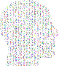 True Machine Learning, Not Smarter Programming: Q&A with Domenic Venuto, The Weather Channel