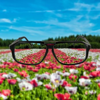 The Obvious Lack of Transparency in Ad Tech