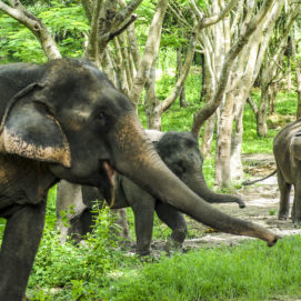 The Elephant in the Changing Room: Why Fashion Retailers are Adopting Technology to Slash Discounting & Boost Net Margins