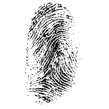 Apple's "Private Relay" to Prevent Fingerprinting; Microsoft to Retire Internet Explorer