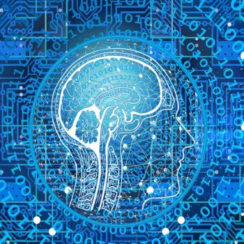 Data Agility: It's Time for Chief Data Officers to Realise They're in the Marketing Department Too