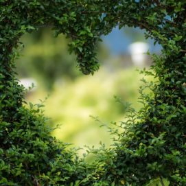 Love is... Finding the Right Partnerships Heart