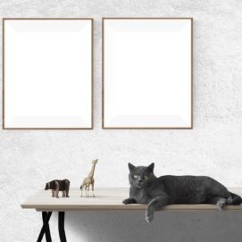 Time To Reframe The Industry: The Service Layer Reframing