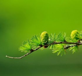 The Evolving Client and Agency Relationship