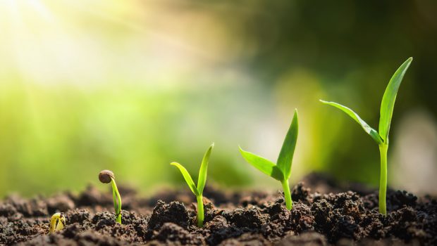 Making Your Data Work: Marketing in the Growing Commerce Media Space Growth