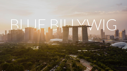 Blue Billywig Singapore