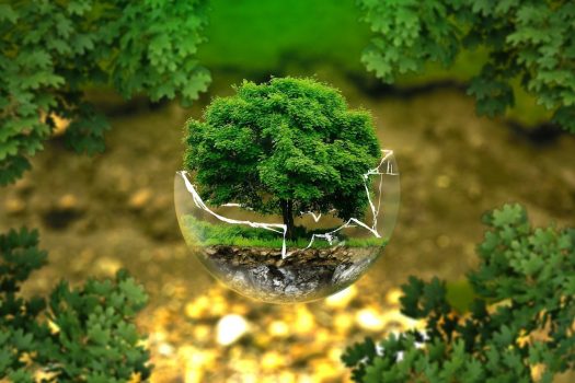 Predictions 2022: The Environmental Impact of Digital Advertising