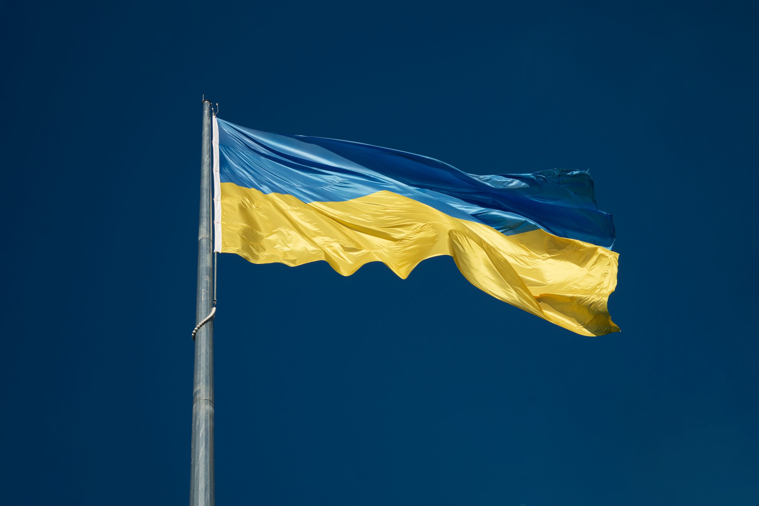 Google Suspends Ads to Disarm Ukraine Misinformation; OpenWeb Buys Adyoulike for USD$100m - Vimarsana News