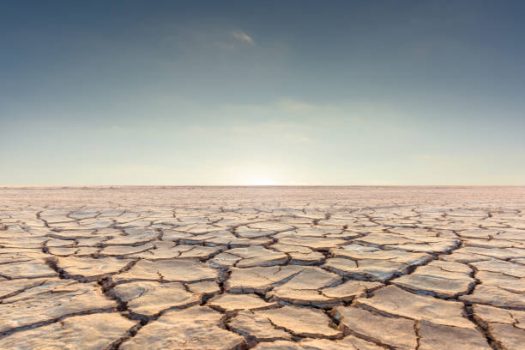 The Value of Brand-Building in a Fragmented Landscape – Q&A with John Dolan, Broadsign