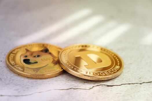 Musk Sued Over Dogecoin Pyramid Scheme; Canada Clamps Down on Businesses' Use of Data & AI