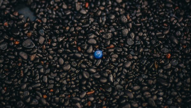 Joining Forces for Independent Digital-First Consulting: Interview with CvE Independent