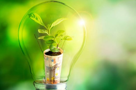 Why ESG is Vital to the Future of Ad Tech: Q&A with Julie Selman, Magnite