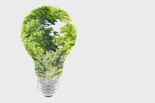 'The Inevitable Disruption of an Inefficient System': State Your Case on Sustainability
